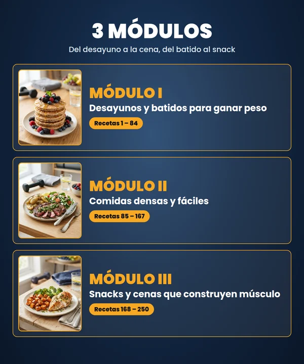 Los 3 módulos del recetario de ectomorfos